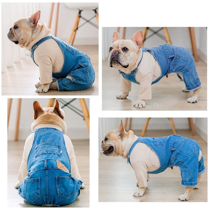 Comfy Medium-Wash Denim Dog Overalls