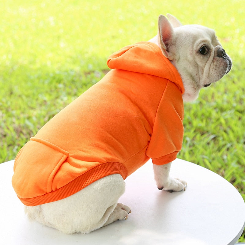 Comfy Single Color Dog Hoodie with Pocket