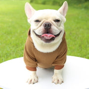 Comfy Single Color Dog Hoodie with Pocket