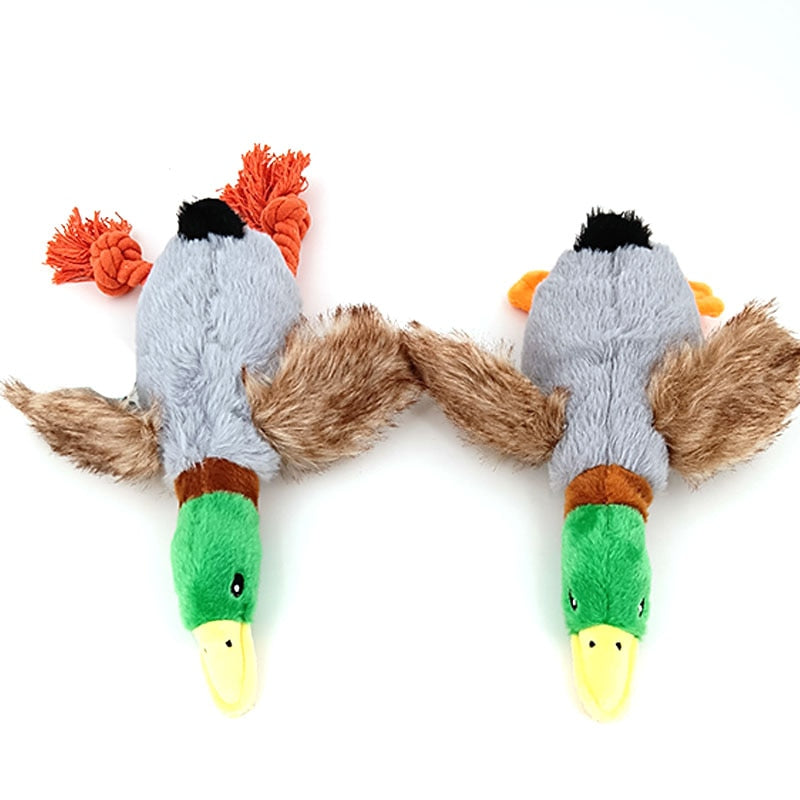 Plush Squeaky Mallard Duck Dog Toy