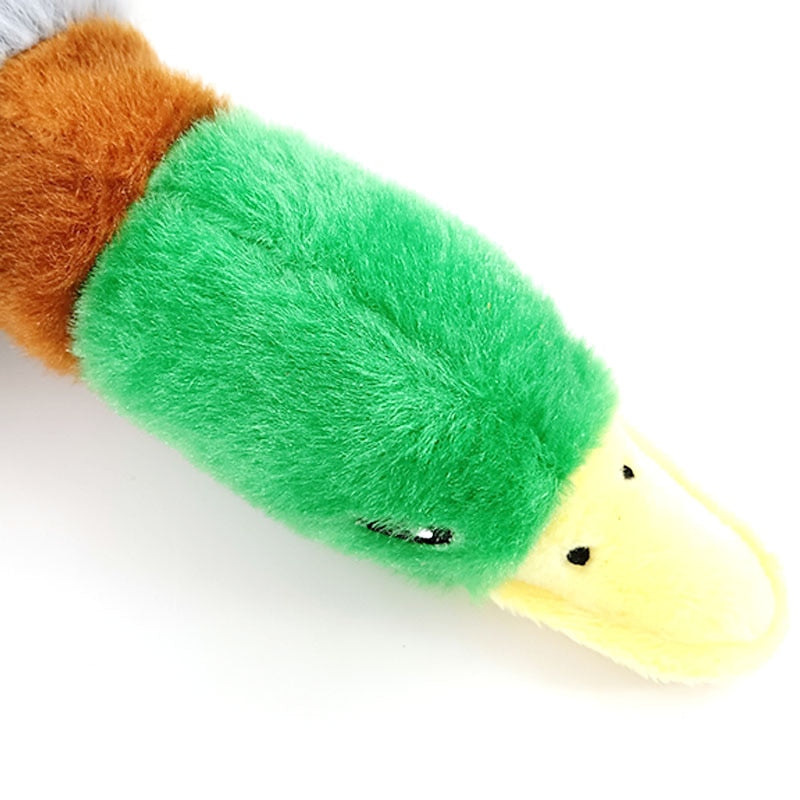 Plush Squeaky Mallard Duck Dog Toy