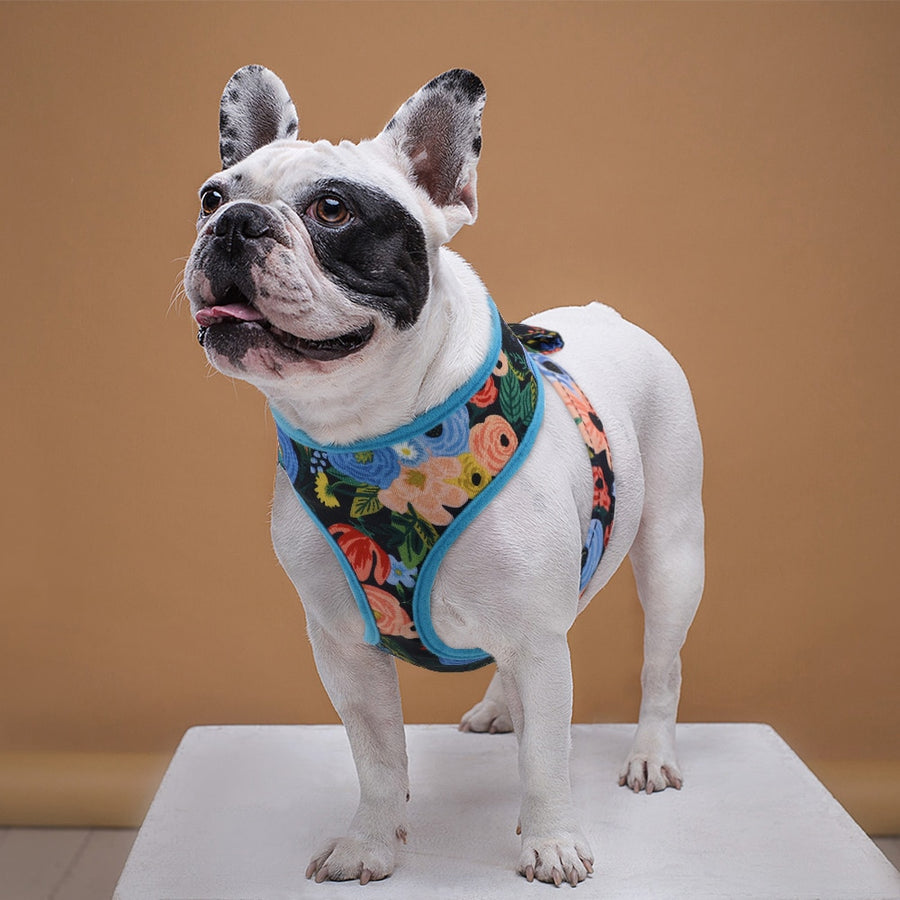 Bright Floral Print Nylon Dog Harness