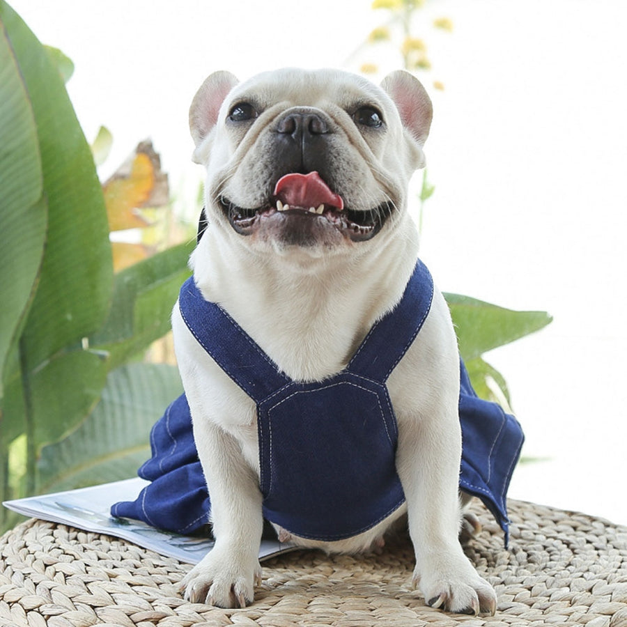 Pretty Dark Wash Denim Dog Dress