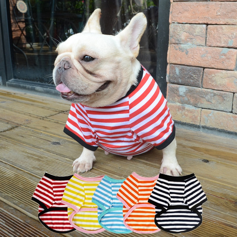 Colorful Comfy Striped Dog T-Shirt