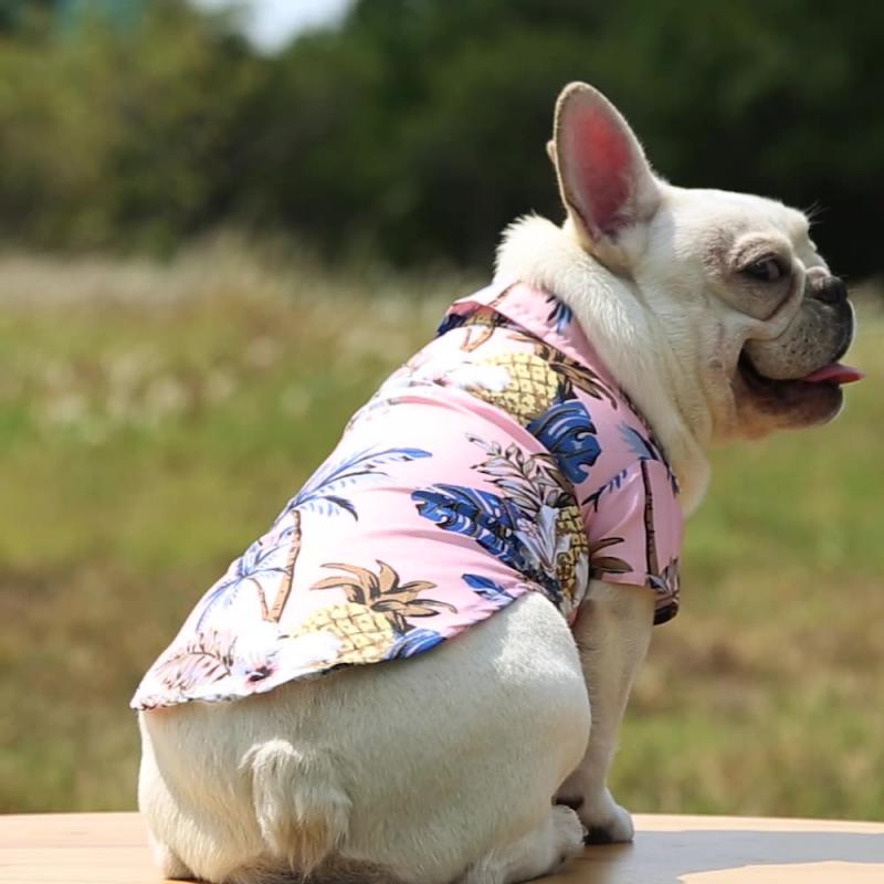 Festive Collared Hawaiian Dog Shirt