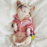 Luxury Silk Button-Front Dog Pajamas