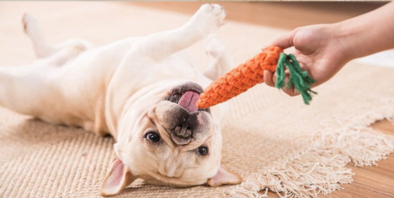 Braided Orange Carrot Chew Dog Toy