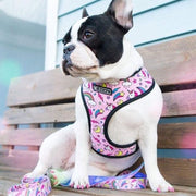 Frenchie Patterned Dog Harness and Leash Set