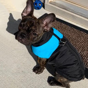 Waterproof Color Block Dog Puffer Vest