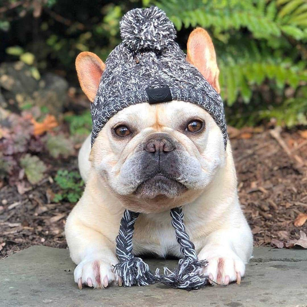 Winter Trooper Cozy Dog Pom Pom Hat