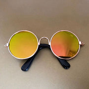 Retro Round Dog Sunglasses with Strap