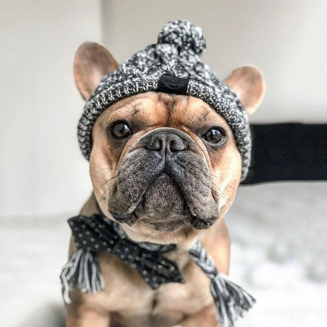 Winter Trooper Cozy Dog Pom Pom Hat