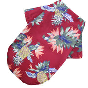 Festive Collared Hawaiian Dog Shirt